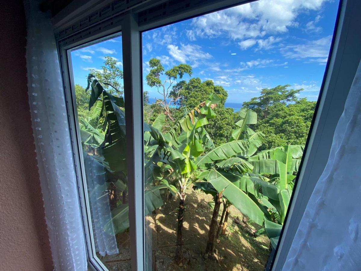 Forest View Apartment Six Huts Εξωτερικό φωτογραφία